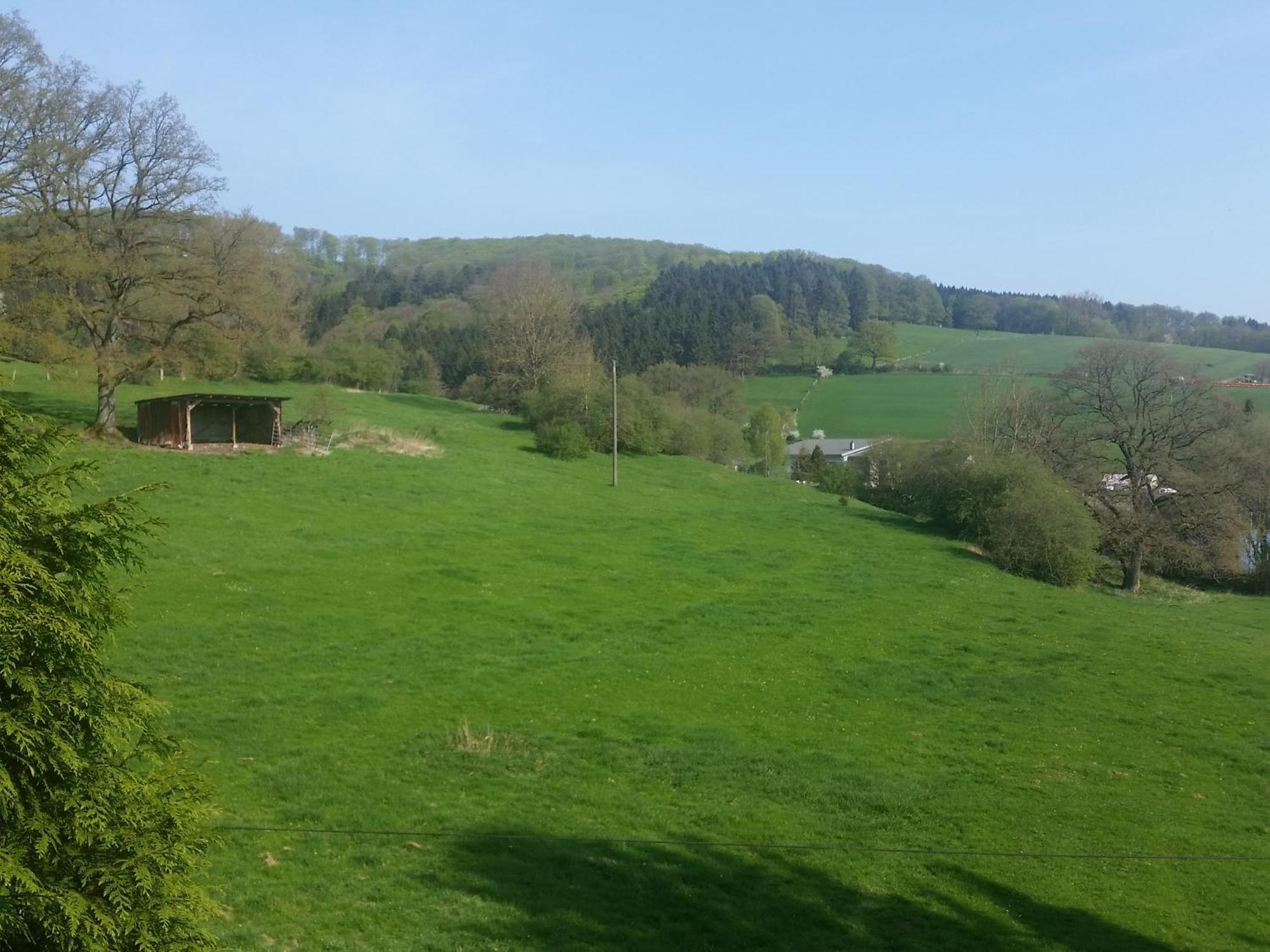 Fewo Am Wald Balve 客房 照片