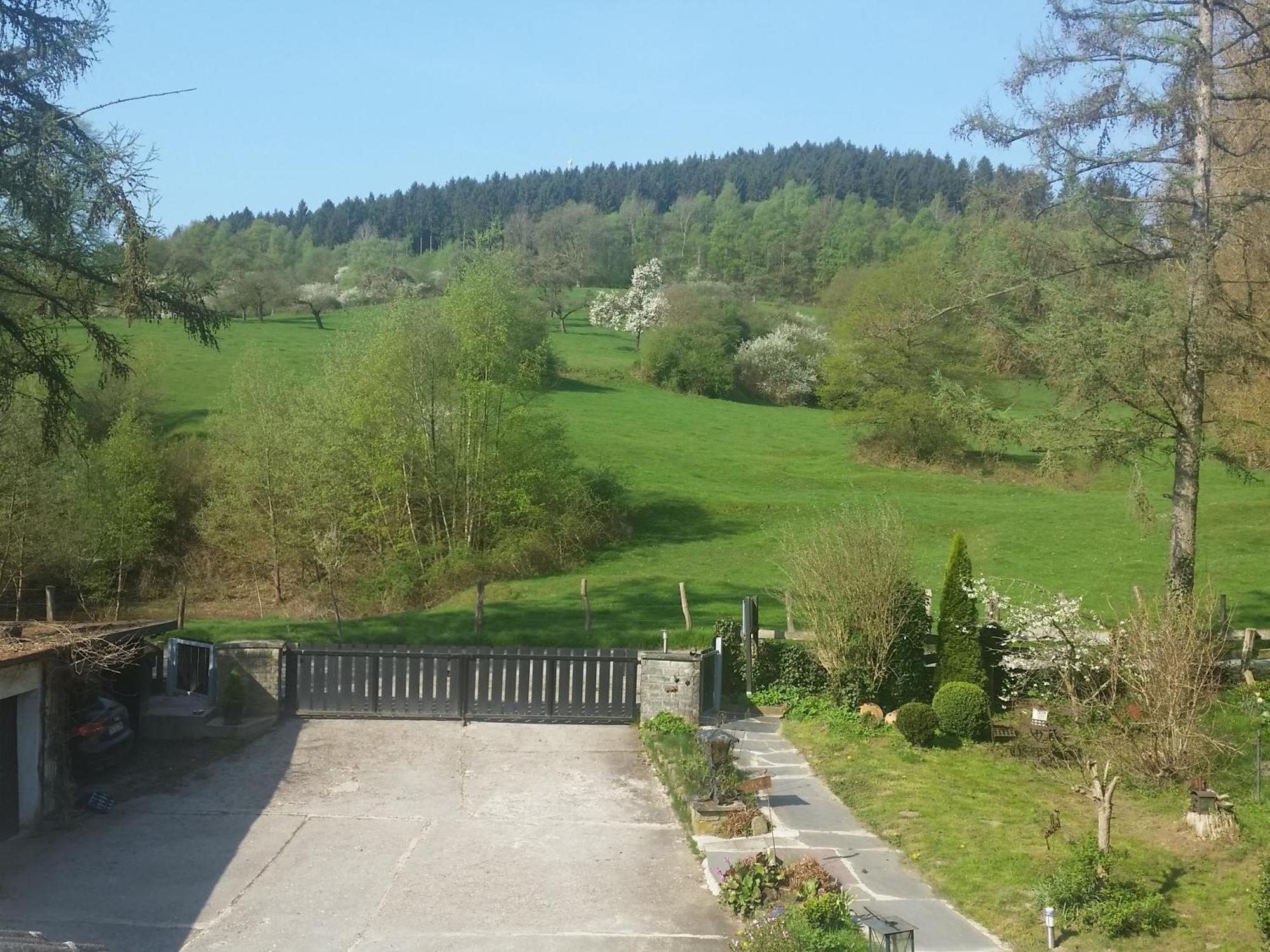 Fewo Am Wald Balve 客房 照片