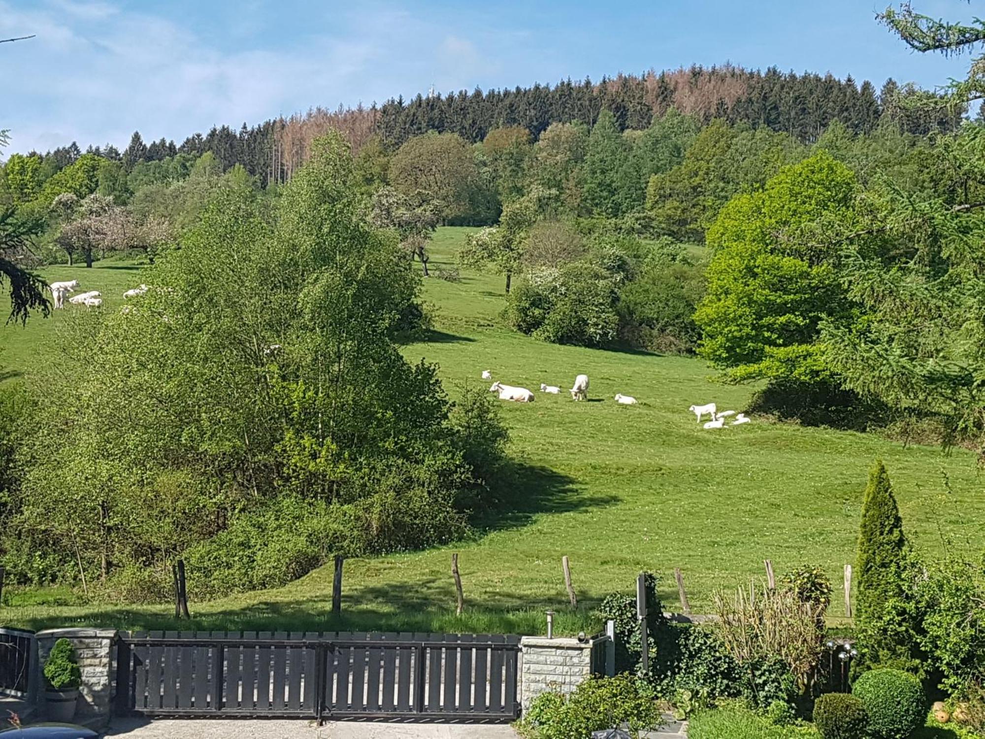 Fewo Am Wald Balve 客房 照片